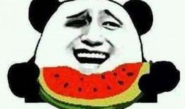 吃瓜群众无敌小强小说免费阅读,揭秘小说中的奇幻冒险之旅