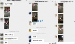 八村最新爆料消息视频播放,揭秘视频背后的惊人真相