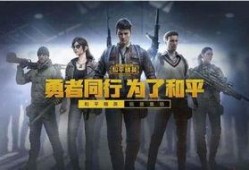 和平精英爆料壮哥视频,揭秘游戏新动态与精彩瞬间