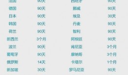 大湾区新闻爆料网站查询,聚焦热点事件，解码区域发展动态”