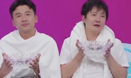 明星家世爆料视频大全集,视频大全集深度解析