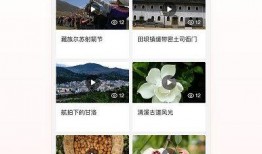 怎么用热点爆料发视频,轻松吸引观众眼球