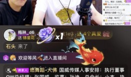 汇海爆料棒哥直播视频,揭秘棒哥直播幕后真相