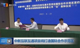 重庆今日爆料新闻联播,聚焦城市发展与民生焦点