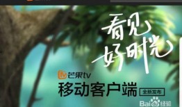 湖南芒果直播在线观看,湖南热门在线观看平台全解析