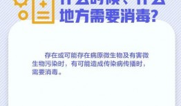 记者有权爆料新闻吗,记者爆料权的边界与新闻自由