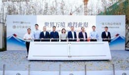 银川水泥价最新爆料,揭秘市场动态与趋势