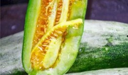 吃瓜香的网红有哪些,盘点吃瓜界的网红达人