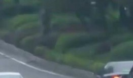 网约车女乘客 爆料新闻