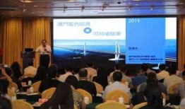 大湾区新闻爆料网站查询,聚焦热点事件，解码区域发展动态”