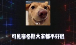 吃瓜来娱乐,娱乐至上的时代盛宴