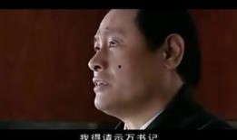 反黑国语手机在线观看,揭秘犯罪背后的正义之战