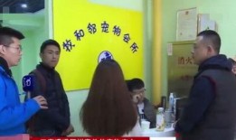 新兴宠物店爆料新闻事件,揭秘新兴宠物行业潜规则